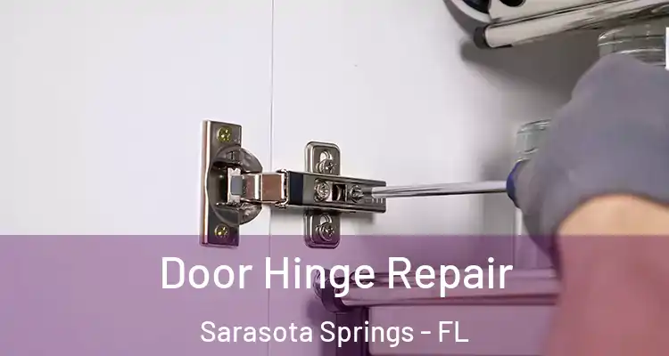  Door Hinge Repair Sarasota Springs - FL