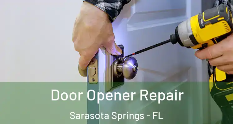  Door Opener Repair Sarasota Springs - FL