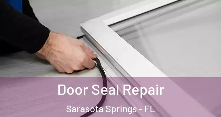  Door Seal Repair Sarasota Springs - FL