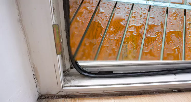 Water Leaking Wooden Patio Doors Repair in Sarasota Springs, FL