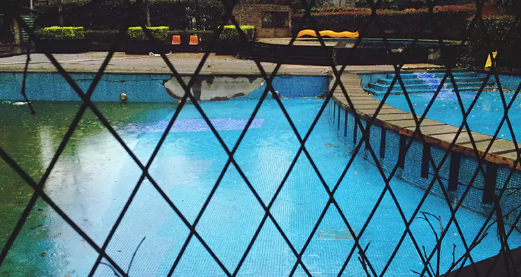 Lanai Screen Repair in Sarasota Springs, FL